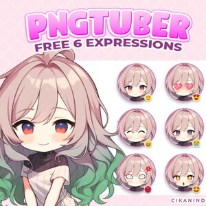 Hochwertige PNGTuber - Benutzerdefiniertes Modell bereit zum Download