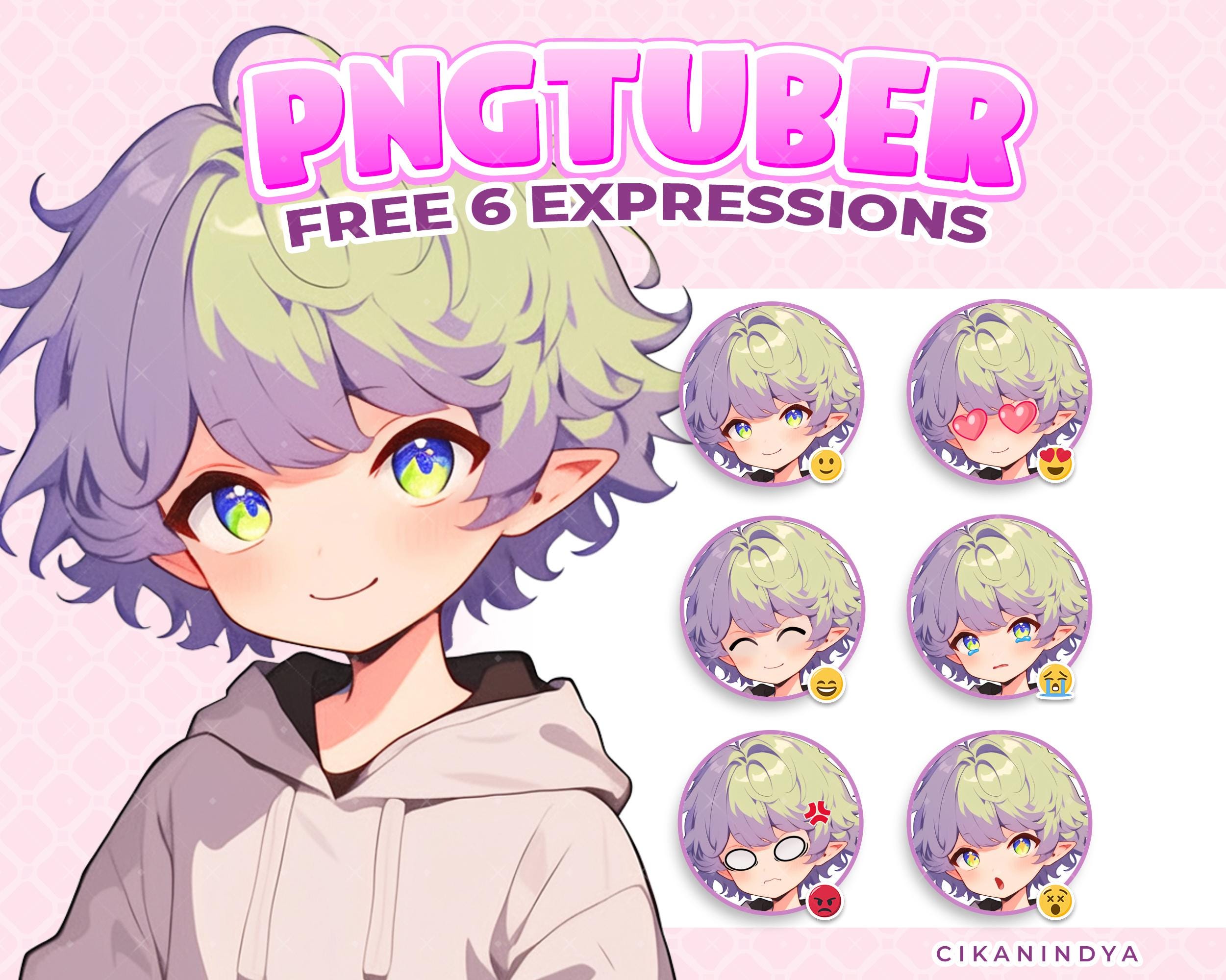Custom-Like PNGTuber – Vibrant Male Elf Character