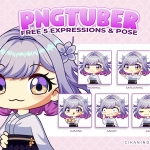 Benutzerdefinierte Qualität PNGTuber Modell - Vorgefertigte Blumen-Themen Chibi Charakter