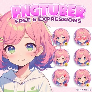 Sweet Premade Chibi PNG Tuber with Pink and Blue Hair | Ready-to-Use Streaming Avatar for Twitch, YouTube & TikTok