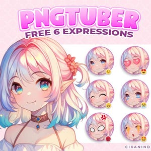 PNG Tuber | hibi Elf Girl with Pink and Blue Hair  for Streaming Avatar | Get 6 Poses | Cute Vtuber | Gif pngtuber | Twitch