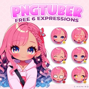 PNG Tuber | Pink Braided Hair Girl with a Sweet Smile | Get 6 Poses | Premade Vtuber | Twitch Stream | Pngtuber Model