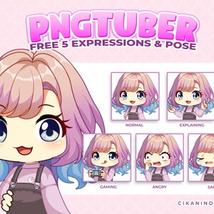 Süßes Custom PNGTuber Girl - Vorgefertigtes Pastell Chibi Model zum Streamen