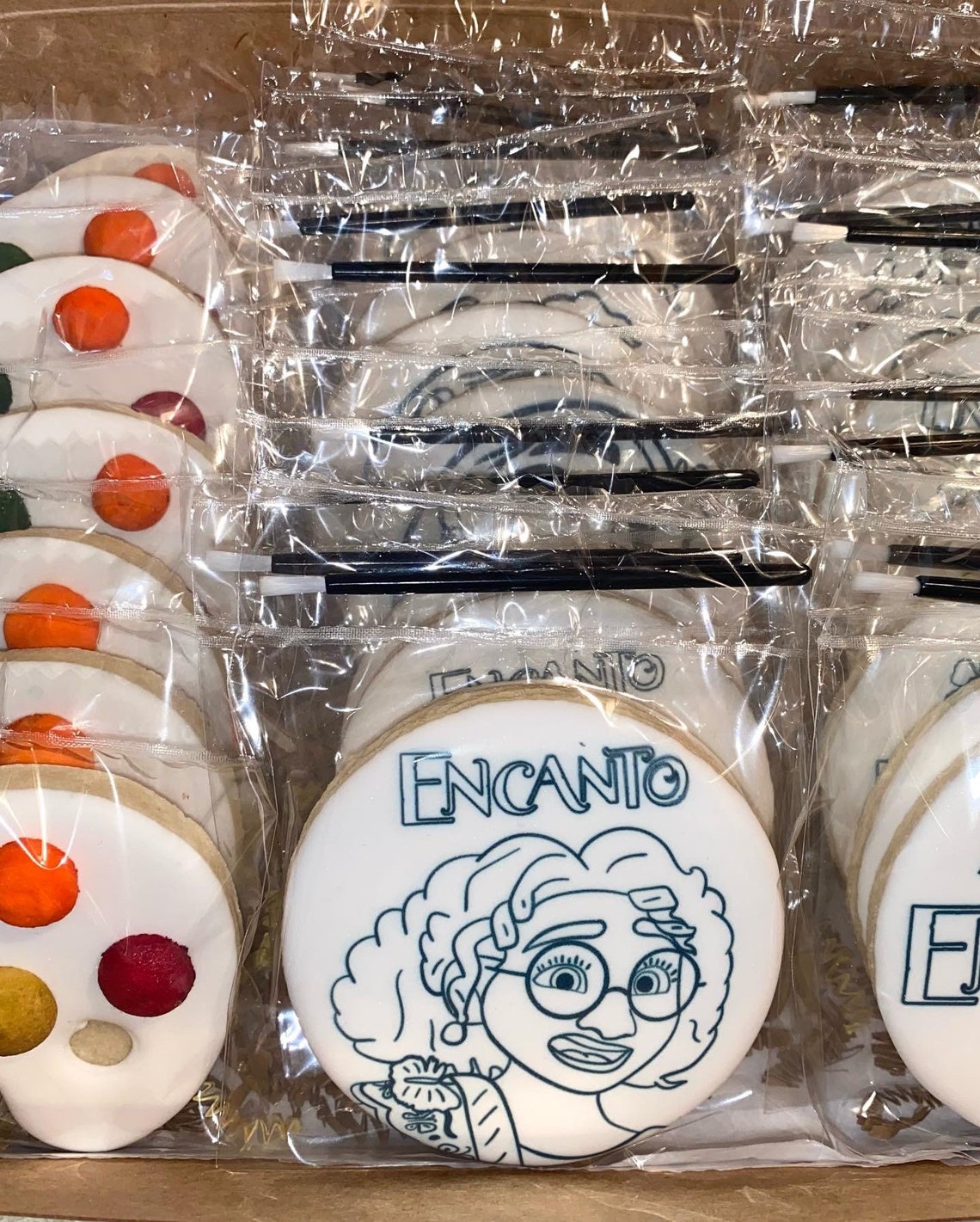 Encanto Cookies Paint Your Own Cookies Encanto PYO Cookies Etsy