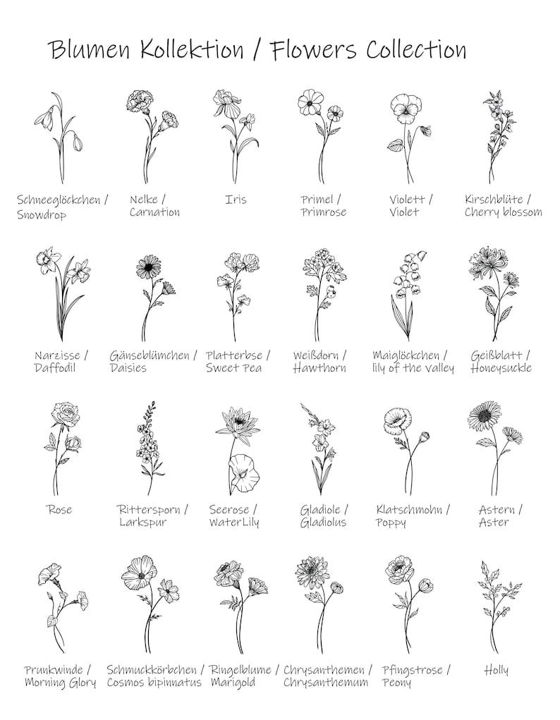 May include: A black and white line drawing illustration of 16 different flowers. The flowers are labeled in both German and English. The flowers include snowdrop, carnation, iris, primrose, violet, cherry blossom, daffodil, daisies, sweet pea, hawthorn, lily of the valley, honeysuckle, rose, larkspur, water lily, gladiolus, poppy, aster, morning glory, cosmos, marigold, chrysanthemum, peony, and holly.