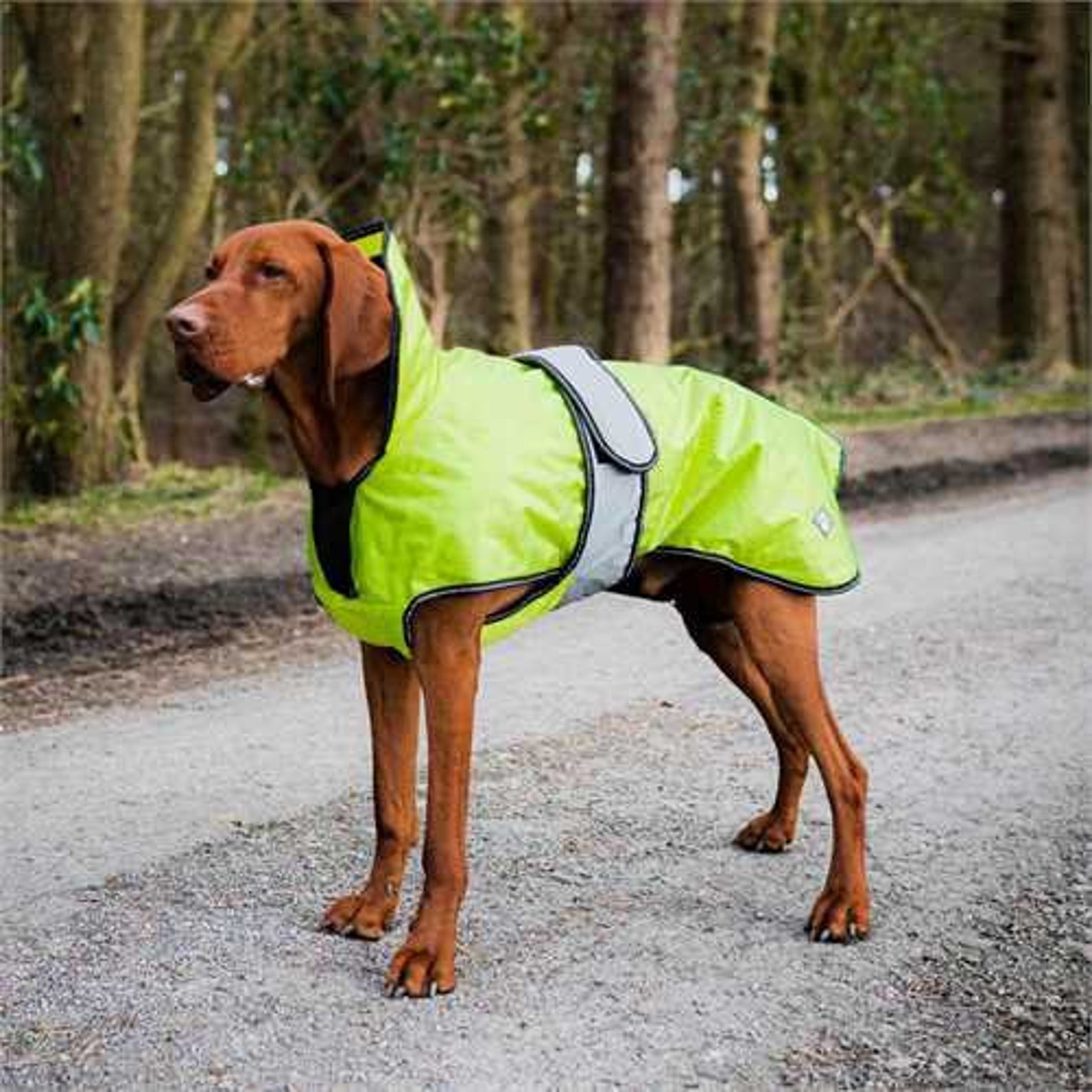 Yellow Hi Vis Dog Coat 2 in 1 Ultimate Dog Coat Fleece Lining Etsy