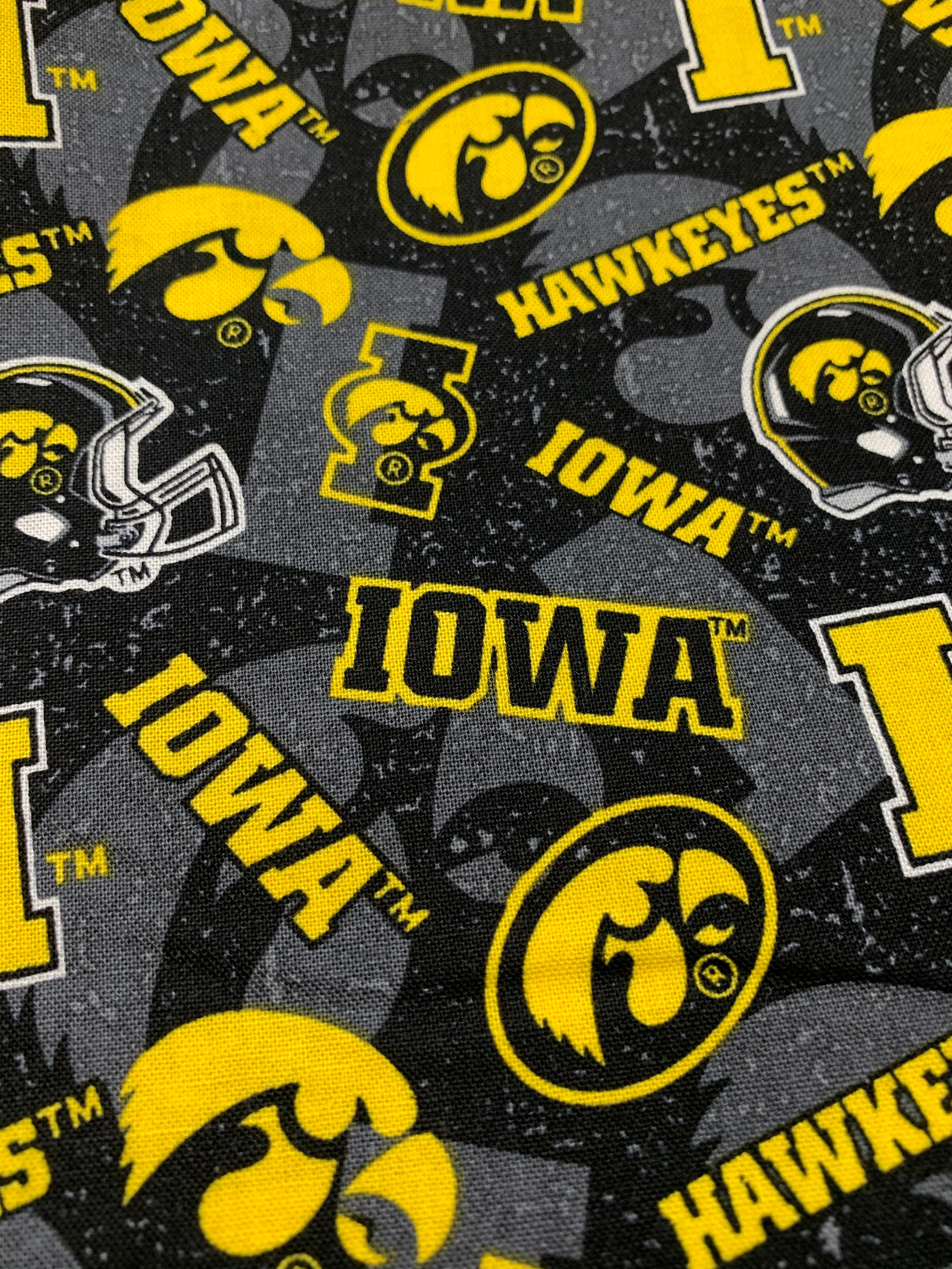 Aazon.co: SYKEL ENTERPRISES Iowa State Fleece Blanket Fabric-Iowa
