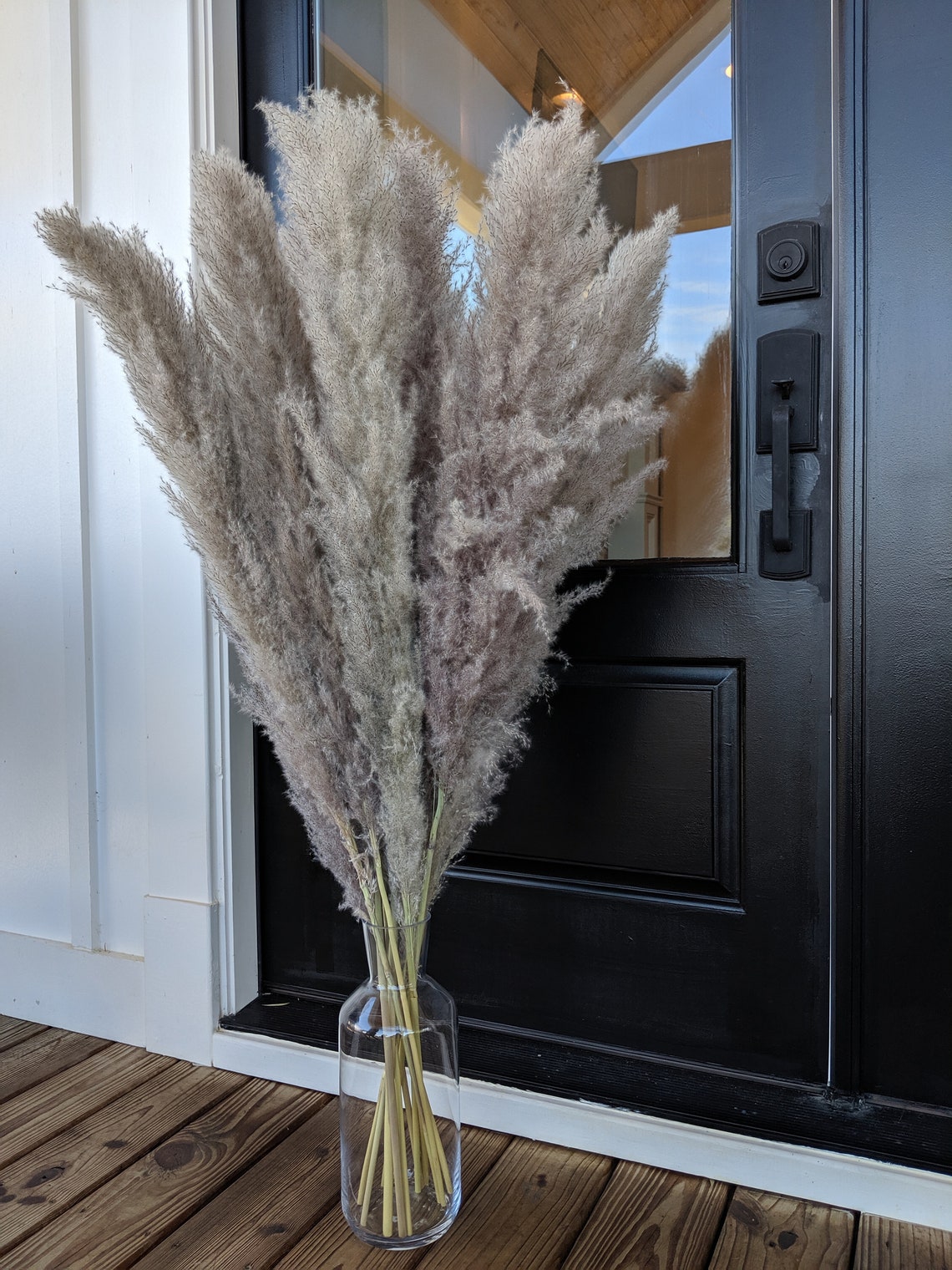 48 Tall Natural Grey Pampas Grass100 Natural Dried Etsy
