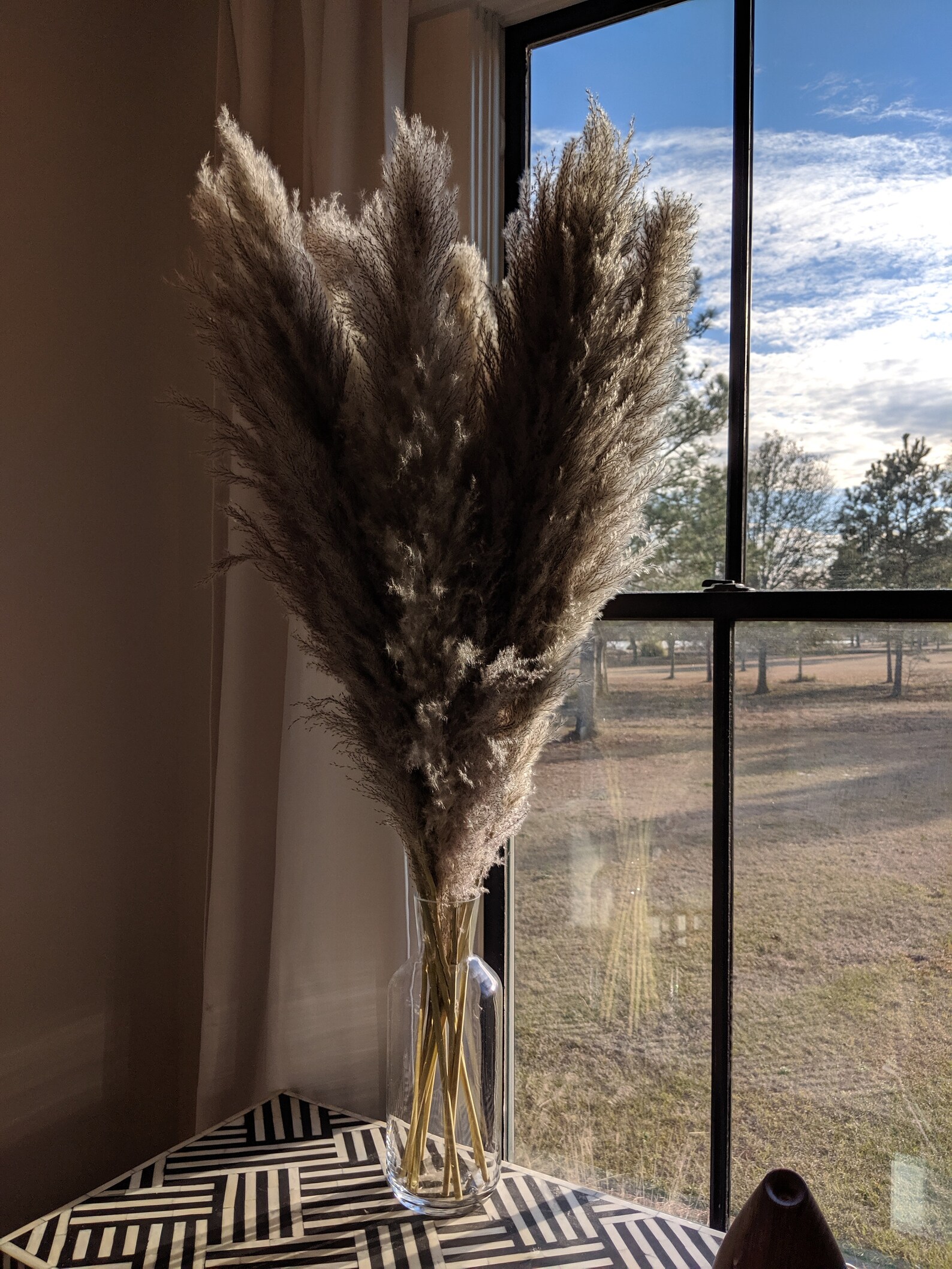 48 Tall Natural Grey Pampas Grass100 Natural Dried Etsy