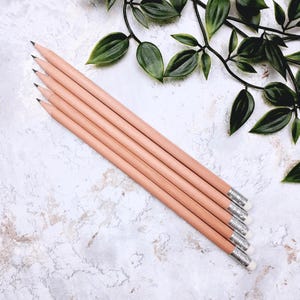 Puede incluir: Seis lápices sin afilar con barriles de madera rosa y férulas plateadas con gomas blancas. Los lápices están dispuestos en diagonal sobre una superficie texturizada blanca y gris, con vides de hojas verdes en el fondo.