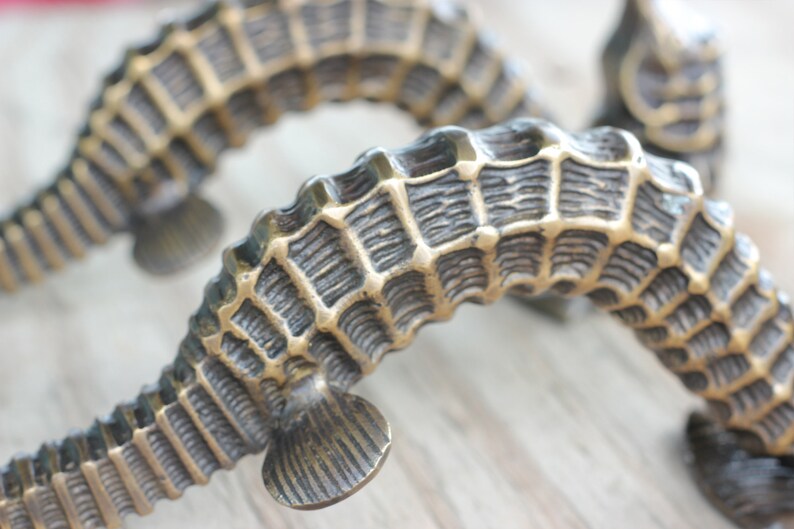 Peut inclure: Gros plan sur des poign&eacute;es de meubles en forme d'hippocampe en bronze. Les poign&eacute;es pr&eacute;sentent un design textur&eacute; et d&eacute;taill&eacute; avec une base en bronze fonc&eacute; et des accents dor&eacute;s. Les poign&eacute;es en forme d'hippocampe sont d&eacute;coratives.