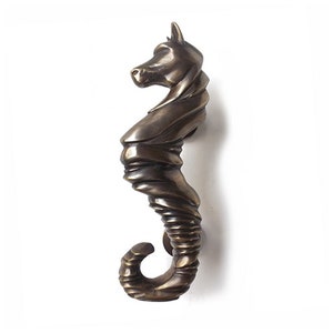 May include: A bronze seahorse door knocker with a detailed, textured design. The seahorse is curled in a classic pose with its tail wrapped around its body.