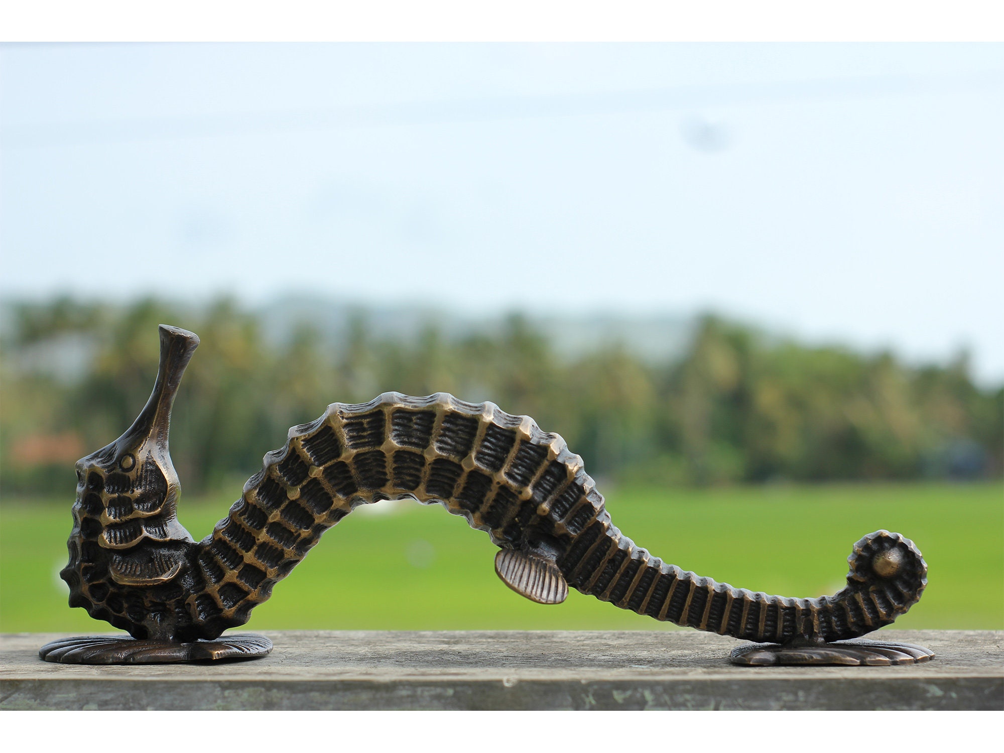 SEAHORSE フロントドアハンドル、大型真鍮製タツノオトシゴドアノブ
