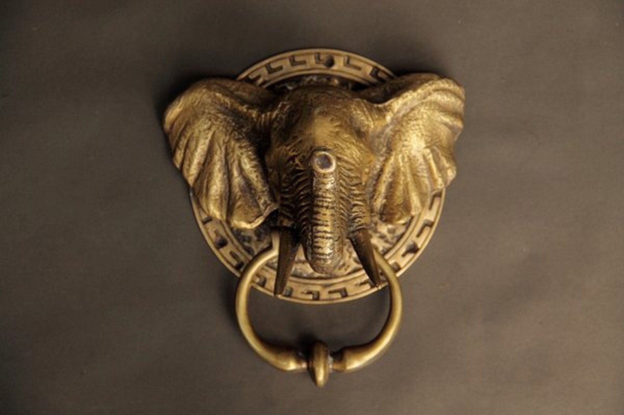 ELEPHANT Brass Door Knocker Antique Elephant Face Door Etsy Australia