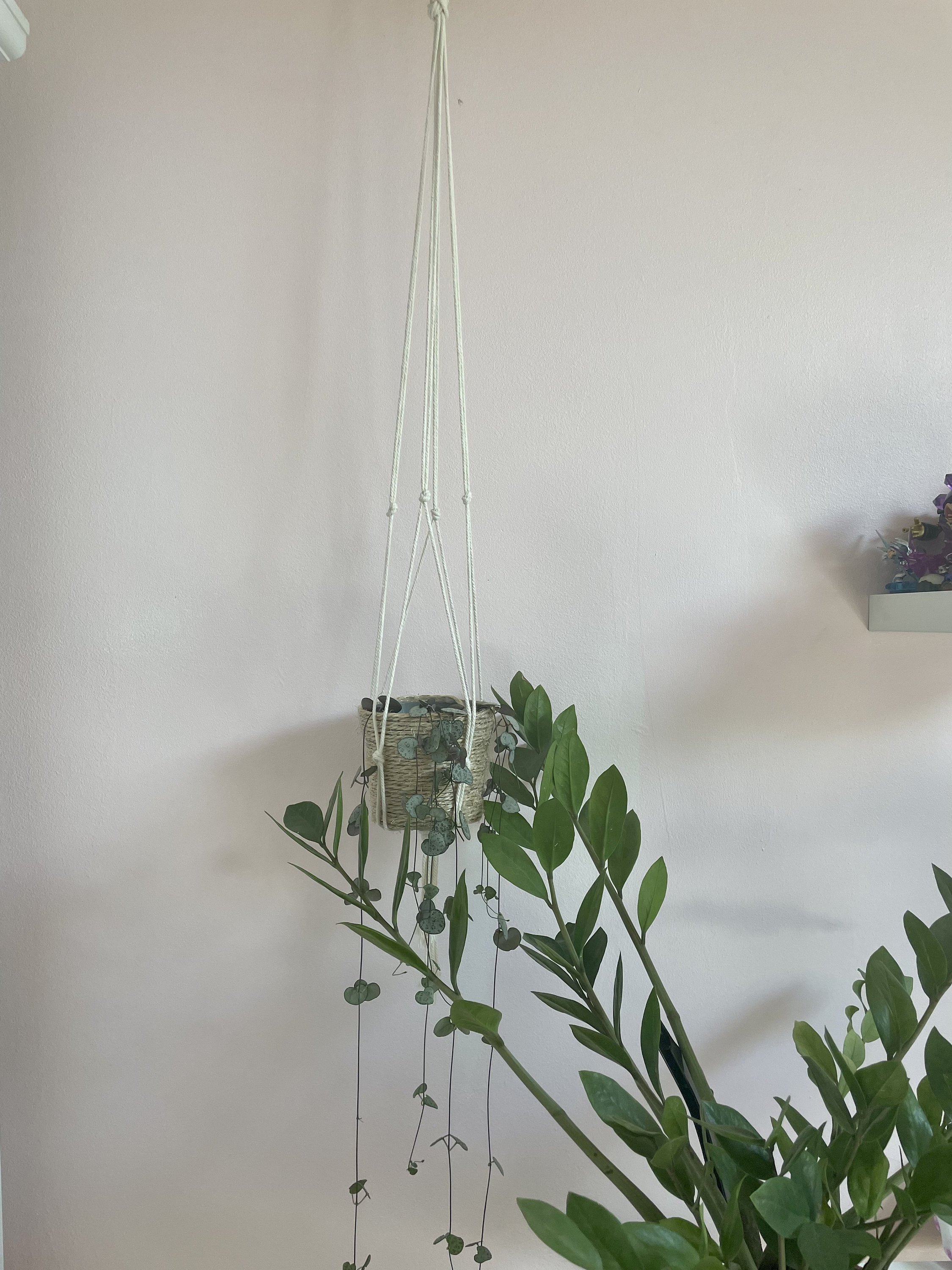 Lot de Suspension en Macramé Pour Plante