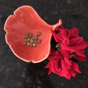 15 Watermelon Seeds