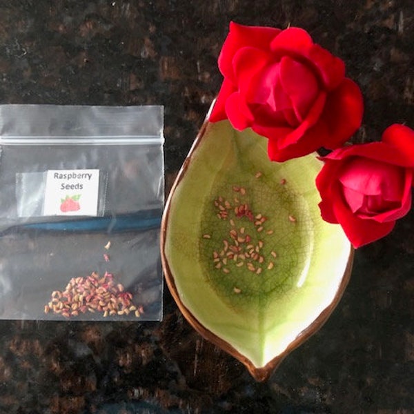 60 Red Raspberry Seeds