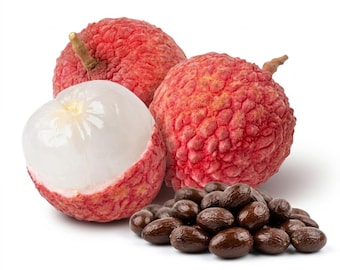 10 Lychee Seeds