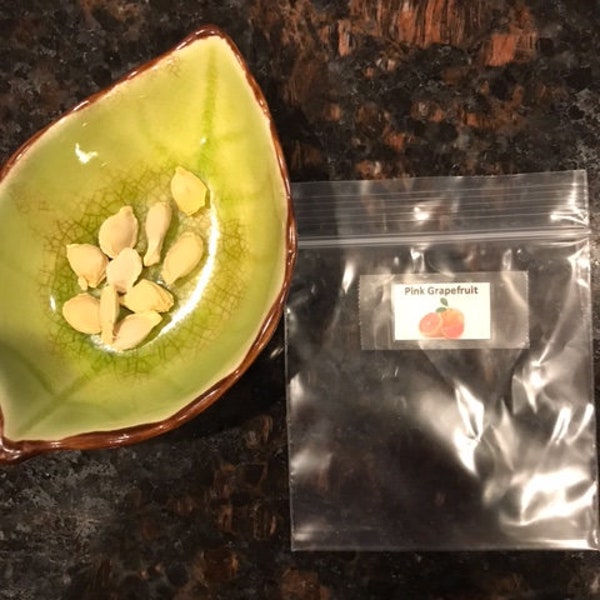 10 Pink Grapefruit Seeds