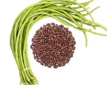 200 Yardlong Bean Seeds
