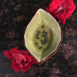 5 Granny Smith Apple Seeds