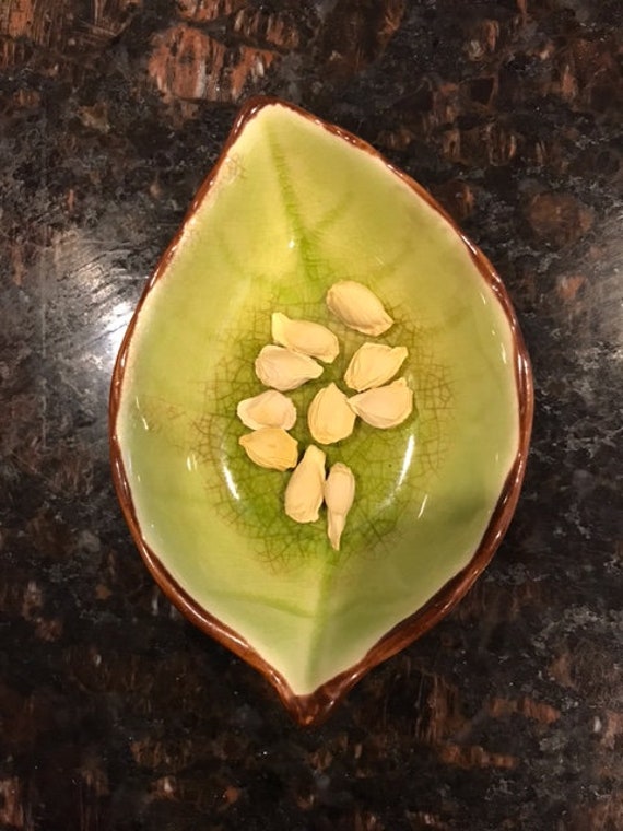 10 Pink Grapefruit Seeds - Etsy