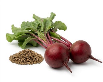 20 Detroit Dark Red Beet Seeds