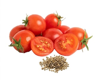 200 Grape Tomato Seeds