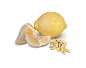 30 Meyer Lemon Tree Seeds