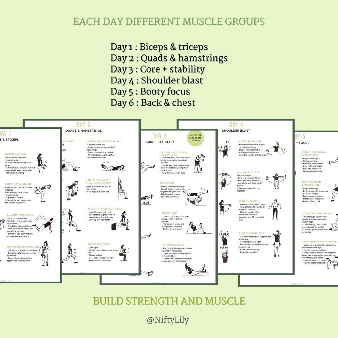 Home Workout Plan Dumbbells Only Strength Training Fitness Program Home Workout Plan Dumbbells Only Strength Training Fitness Program