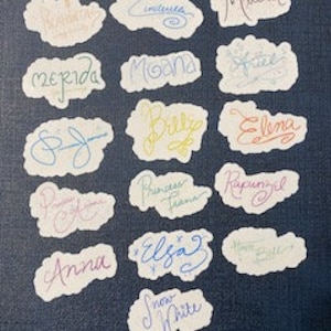 Princess Autograph Signature Stickers Bulk