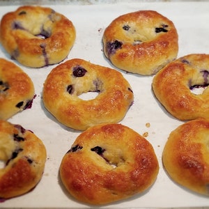 Diabetic, low carb, blueberry bagels, 5g net carbs, sugar free, low glycemic, grain free, gluten free.
