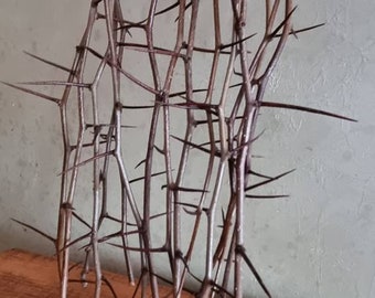 Set of 12 Sharp branches for craft Branches with thorns Dried thorny twigs Thorn tree sticks Natural supplies Natural hawthorn Thorns tree