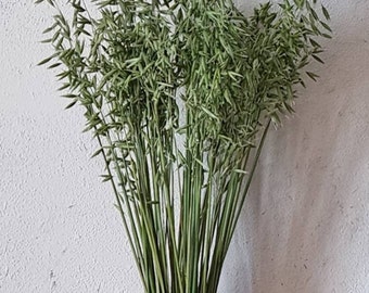 Fascio di avena Avena Mazzo di avena Avena Fiore di avena secca bouquet di avena secca Chicchi verdi Avena secchi Avena secca Bouquet da sposa Lino naturale