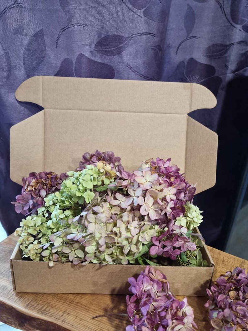 Hydrangeas Flowers Confetti in Box Dried Multicolored Flowers Etsy