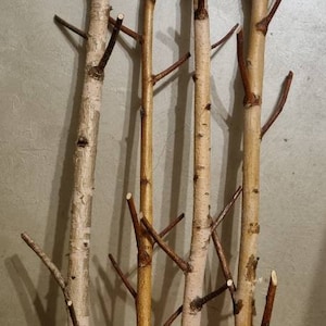 Real white birch hook forest wall art coat rack birch branch birch log wall hanging wooden hook modern rustic wall decor for birch rack art