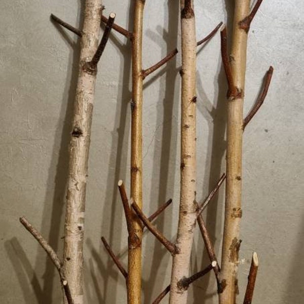 Real white birch hook forest wall art coat rack birch branch birch log wall hanging wooden hook modern rustic wall decor for birch rack art