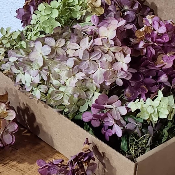 Hydrangeas flowers confetti in box dried multicolored flowers wedding confetti hydrangeas florers heads hortensia flowers biodegradable arts