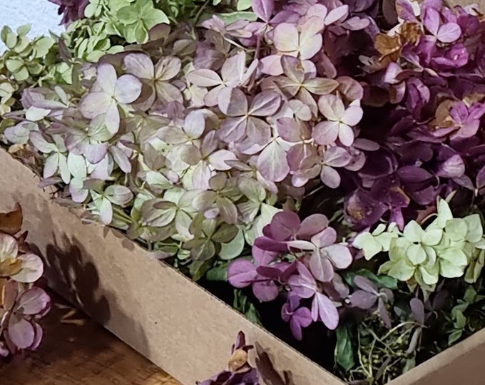 Hydrangeas Flowers Confetti in Box Dried Multicolored Flowers Wedding