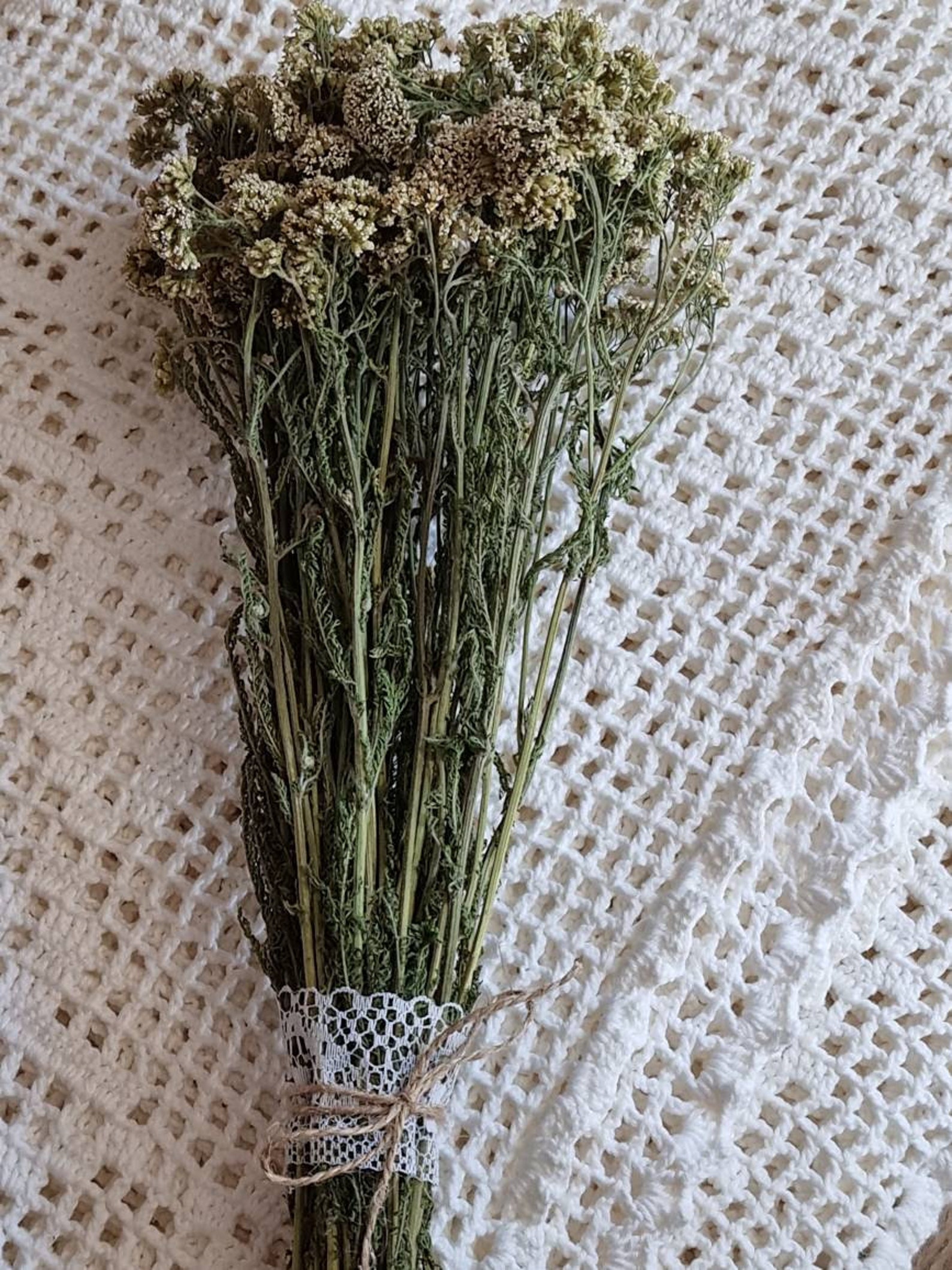 Natural Yarrow Herb Dried Flower Bouquet White Yarrow Achillea Etsy UK