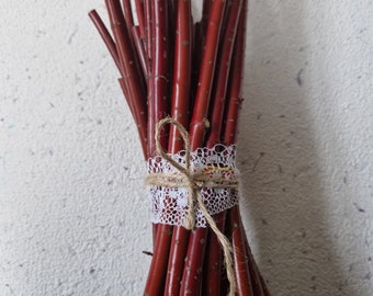 30 rami di corniolo rosso naturale bastoni forniture artistiche foto prof cibo per roditori arredamento rustico Cornus sanguinea Tatarian siberiano