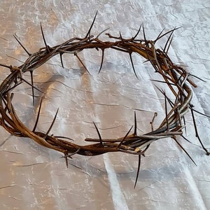 May include: A brown thorny crown of thorns, a religious symbol, on a white background.