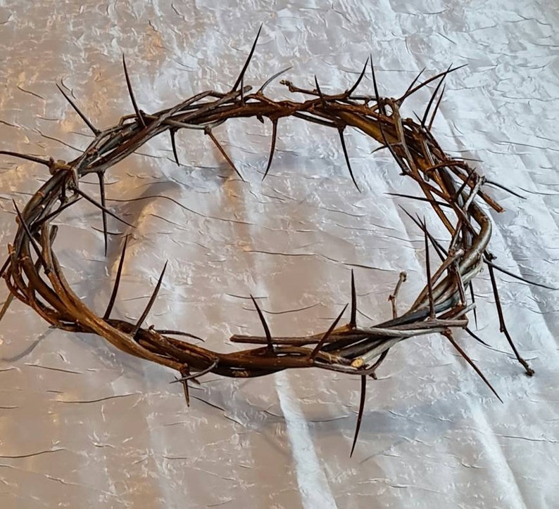 May include: A brown thorny crown of thorns, a religious symbol, on a white background.