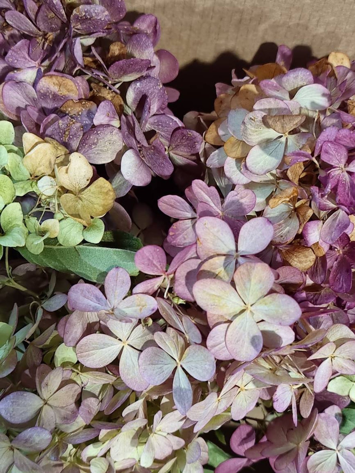 Hydrangeas Flowers Confetti in Box Dried Multicolored Flowers Etsy