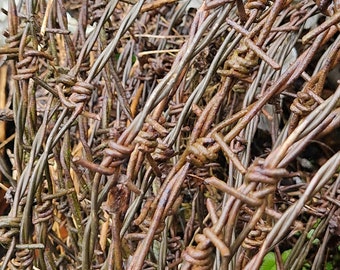 3 meter vintage rusty barbed wire old rusty wire