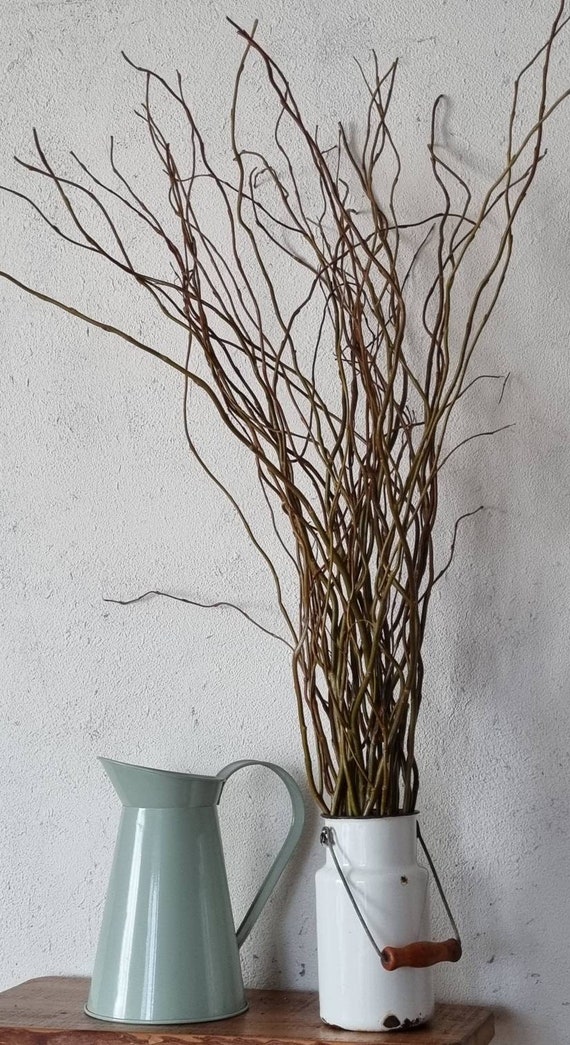 Natural Real Willow Curly Branches Wooden Twigs Willow Decorative