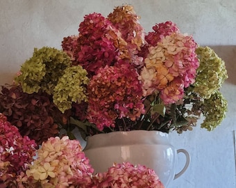 Boeket met 7 gedroogde hortensiabloemen, groen, bordeauxrood, hortensia, bloemistenbenodigdheden, kunstnijverheid, vaasvulling, thuis, bruiloft, natuurlijk boeket