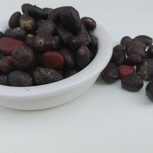 Palm kernel nuts, Palm kernel seeds, palm fruit seeds, Aki west African palm kernel nuts.(Cracked from shells) 100g