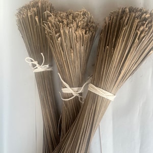 May include: Three bundles of dried natural fiber broom straws tied together with white twine. The bundles are arranged in a fan shape.