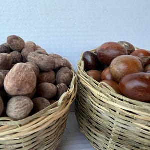 May include: Two woven baskets filled with various brown, oval-shaped nuts. The nuts range in color from light tan to dark brown. The baskets are made of woven, light-colored wood.